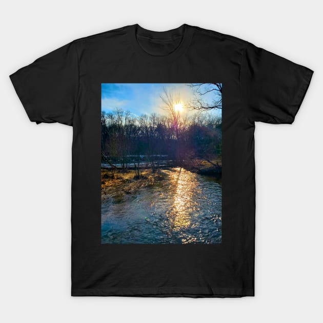 Sunny Day At The River T-Shirt by etherealwonders